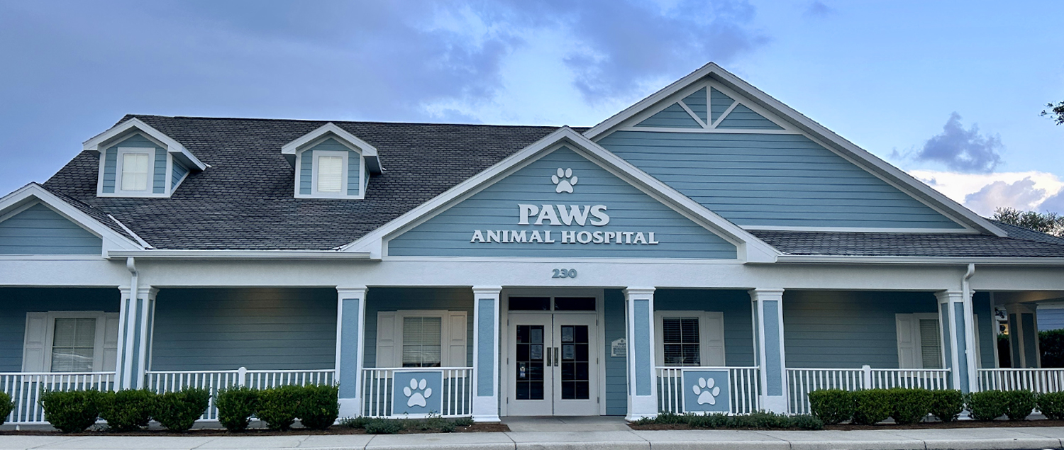 Paws Animal Hospital Banner