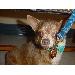 Thumbnail of photo in album