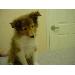 Thumbnail of photo in album