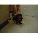 Thumbnail of photo in album