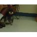 Thumbnail of photo in album