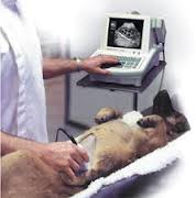Ultrasonography