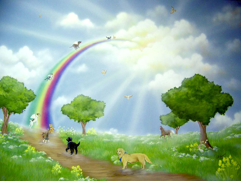 Rainbow Pet Loss